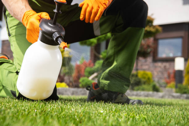 Best Wasp Removal Services  in Pelham, GA