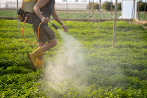 Best Pest Prevention Services  in Pelham, GA