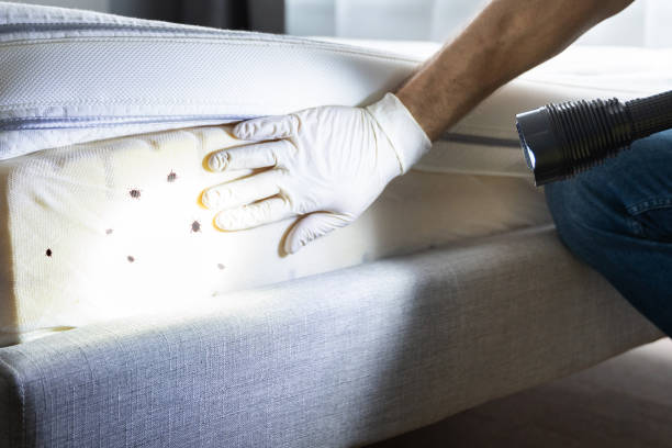 Best Affordable Pest Control Services  in Pelham, GA